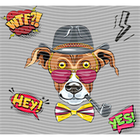 Animal Integration-DW 2338